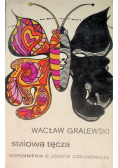 Stalowa tęcza