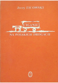Cyganie na polskich drogach