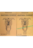 Anatomia zwierząt Tom I  Część I do III