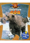 Zwierzęta gór