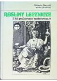Rośliny lecznicze i ich praktyczne zastosowanie