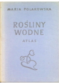 Rośliny wodne