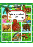 Świat w obrazkach Las