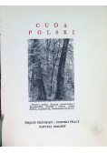 Puszcze polskie 1936 r.