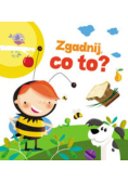 Zgadnij co to