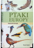 Ptaki Europy przewodnik