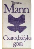 Czarodziejska góra Tom 1