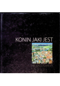 Konin jaki jest nie każdy widzi