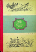 Woda żywa