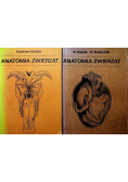 Anatomia zwierząt Tom 1 i 2