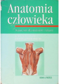 Anatomia człowieka