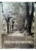 Drzewoznawstwo