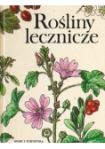 Rośliny lecznicze
