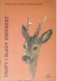 Tropy i ślady zwierząt