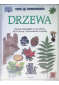 Patrzę Podziwiam Poznaję Drzewa