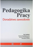 Pedagogika pracy Doradztwo zawodowe