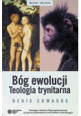Bóg ewolucji Teologia trynitarna
