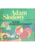 Lubię majsterkować