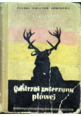 Odstrzał zwierzyny płowej