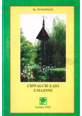 Chwalcie łąki umajone