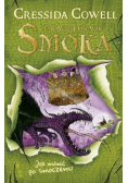 Jak wytresować smoka Tom 3 Jak mówić po smoczemu