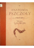 Anatomia Pszczoły