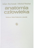 Anatomia człowieka