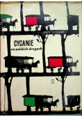 Cyganie na polskich drogach