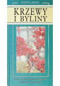 Popularne krzewy i byliny