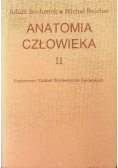 Anatomia człowieka Tom II