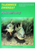 Tajemnice zwierząt. Podwodni łowcy