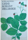 Leśne rośliny lekarskie