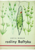 Rośliny Bałtyku