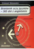 Broniarek uczy języków 365 dni z angielskim