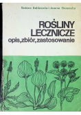 Rośliny lecznicze opis zbiór zastosowanie