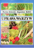 Uprawa warzyw