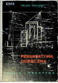 Perspektywa odręczna Teoria i praktyka