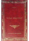 Wilk stepowy