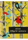 Atlas ptaków leśnych