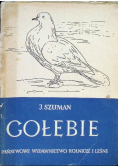 Gołębie