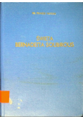 Święta Bernadetta Soubirous