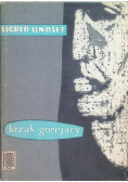 Krzak gorejący