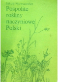 Pospolite rośliny naczyniowe Polski