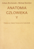 Anatomia człowieka Tom V
