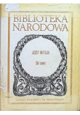 Sól ziemi
