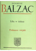Lilia w dolinie Proboszcz wiejski