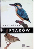 Mały atlas ptaków
