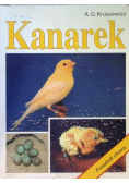 Kanarek