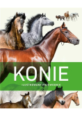 Konie. Ilustrowany przewodnik
