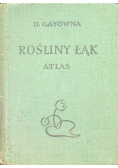 Rośliny łąk Atlas